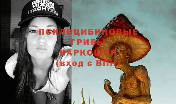 амфетамин Новодвинск