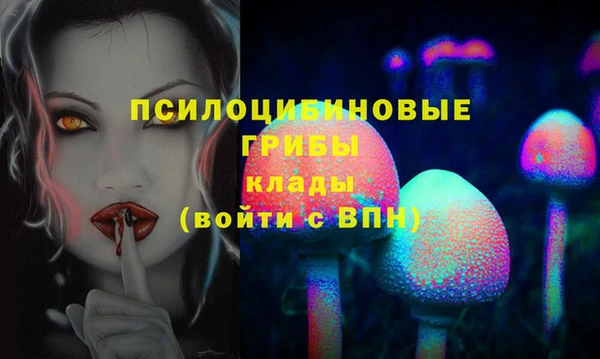 прущие грибы Алзамай