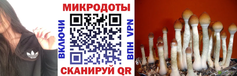 Галлюциногенные грибы MAGIC MUSHROOMS  Оренбург 