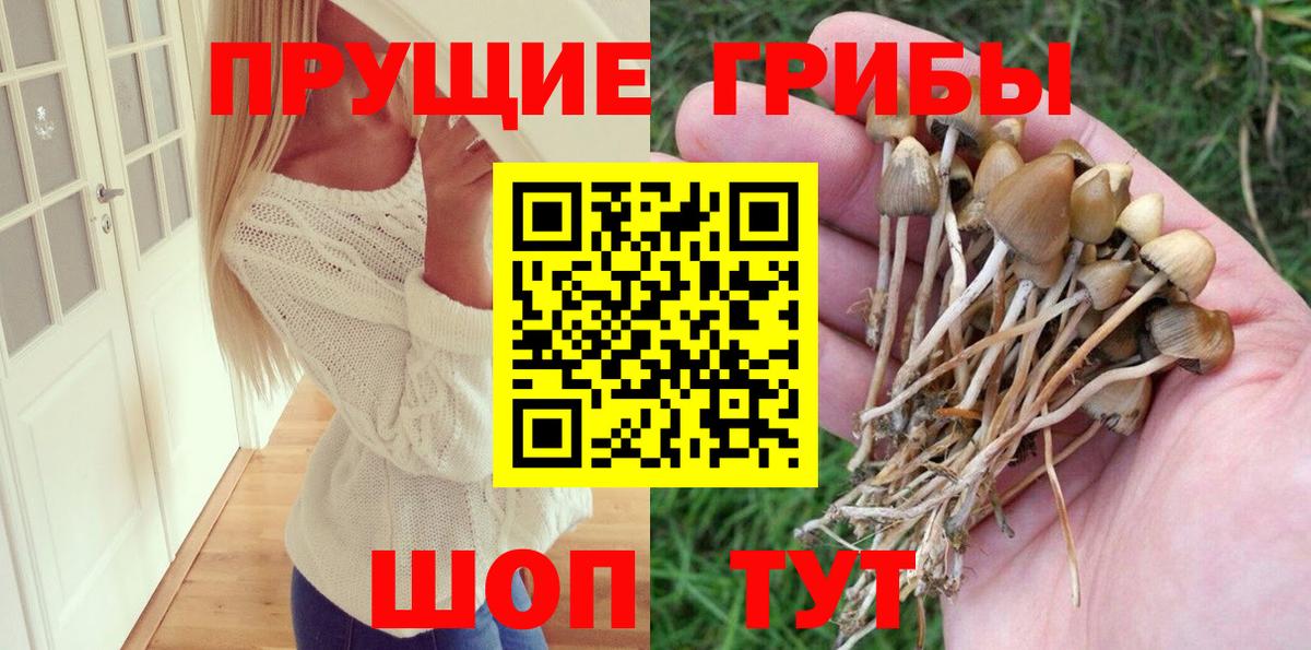 Оренбург  магазин  наркотиков  Вход с VPN  Галлюциногенные грибы MAGIC MUSHROOMS 